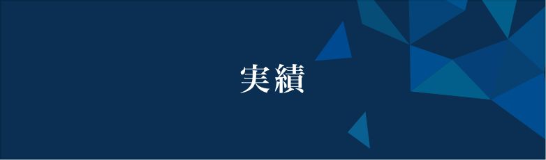 実績